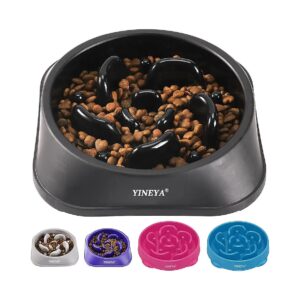 Easy to Clean and Durable Slow Feeder Dog Bowls for Small Breed Dogs