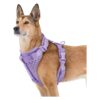 Easy to Clean and Wear Dog Harness Suitable for Dogs of All Sizes and Breeds