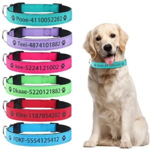 Easy to Clean and Wearable Waterproof Dog Collar with Soft Leather and Heavy Duty Nylon