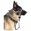 Easy to Control Dog Head Halter with Soft Padding and Adjustable Nose Strap