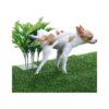 Easy to Install and Clean Artificial Boston Fern Plants for Dog Grass Potty Training