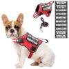 Easy to Put On and Take Off No Pull Dog Harness with 10 Replaceable Patches