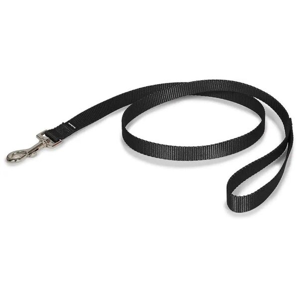 Easy to Use Bolt Snap 3/4 Inch Black Nylon Leash for Pets