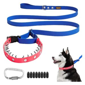 Easy to Use Martingale Slip Leash for Small Medium Large Dogs and Outdoor Walking