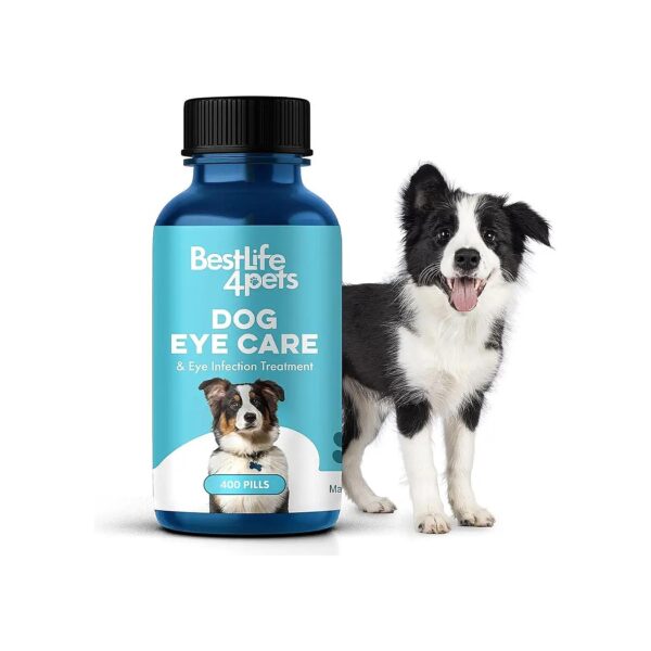 Easy to Use Painless Pills for Dog Eye Care and Vision Support