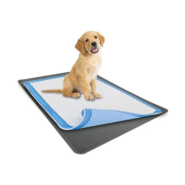 Easy to Use and Clean 28x30 Inch Training Pad Holder for Dogs