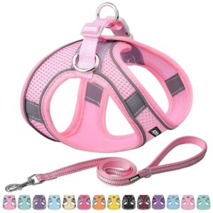 Easy-to-Wear No Pull Dog Harness with Reflective Strips and Comfortable Leash