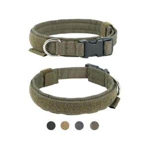 Eco-Friendly Nylon Dog Collar for Small Dogs with Neat Stitching and Soft Padded Lining