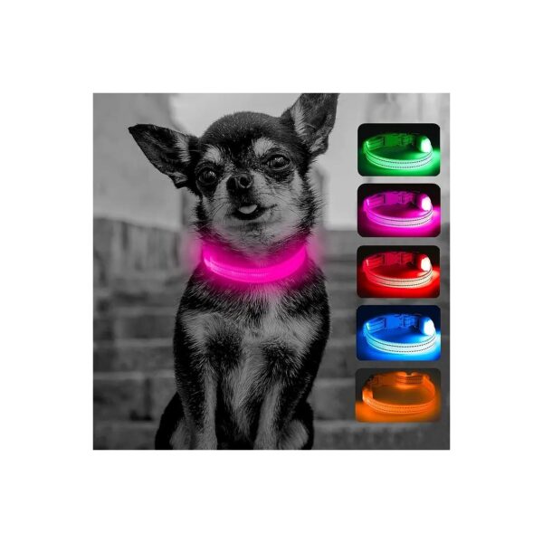 Eco-Friendly Pink Dog Collar with Rechargeable LED Lights