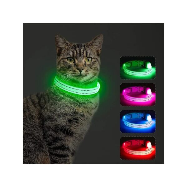 Eco-Friendly Rechargeable LED Dog Collar with Soft and Lightweight Design for Pet Comfort