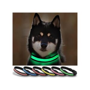 Eco-Friendly Waterproof Dog Collar with Rechargeable LED Lighting