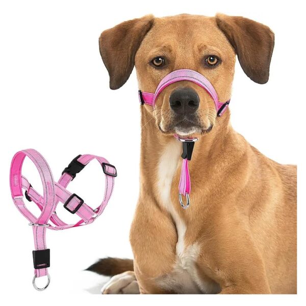 Effective Dog Training Aid for No Pull Walking with Adjustable Halter