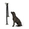 Effective Dog Training Doorbells with Loud Jingle and Adjustable Length