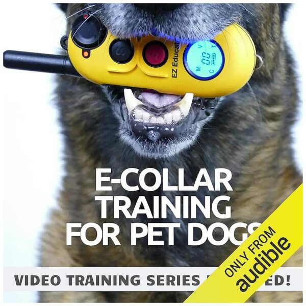 Effective E-Collar Training for Pet Dogs