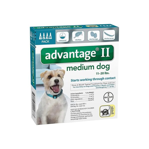 Effective Flea Control for Medium Size Dog Puppies