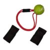 Effective Magnet Ball and Magnet Set for Dog Trainers Worldwide