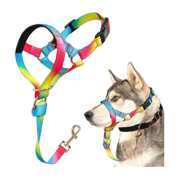 Effective No-Pull Dog Collar for Walking Small Medium Large Dogs in Rainbow