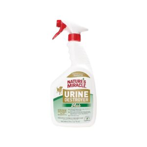 Effective Odor and Stain Removal for Dog Urine Messes with Powered Formula