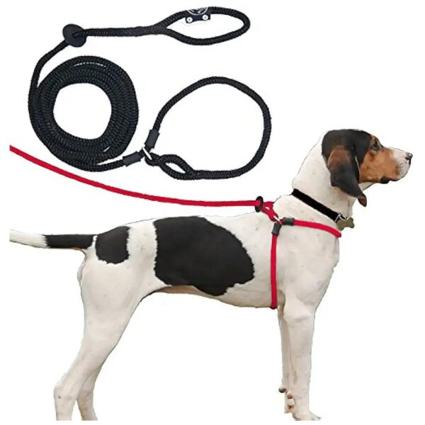 Effective Reduces Pull Dog Harness for Large/Medium Dogs, Black