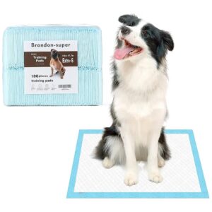 Efficient House Training with 5-Layer Puppy Training Pads and Built-In Attractant