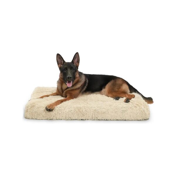 Egg Crate Foam Dog Bed with Removable Cover and Orthopedic Support for Large Dogs