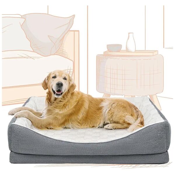 Egg Crate Foam Dog Bed with Soft Cushions