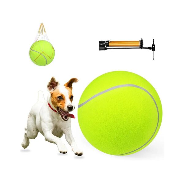 Elasticity Dog Ball for Corgis, Herding Ball for Cattle Dogs and Australian Shepherds