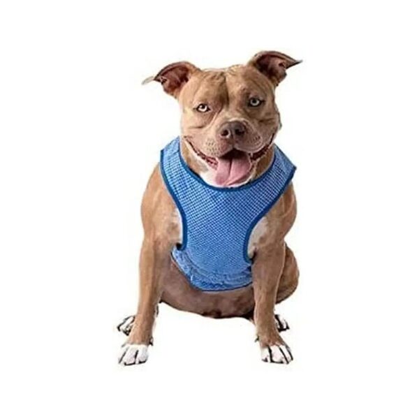 ElastoFit Cooling Ice Vest XL for Dogs Summer Comfort