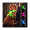 Electronic LED Pet Harness for Small Medium Large Dogs with Soft Padded No-Pull Design