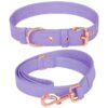 Elegant Dog Collar and Matching