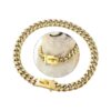 Elegant Gold Chain Dog Collar with Safty Design Buckle and Link