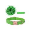 Elegant Little Tail Green Leather Dog Collar with Adjustable Fit for Small Canines