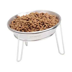 Elevated Cat Bowls with Whisker Friendly Design for Indoor Cats and Small Dogs