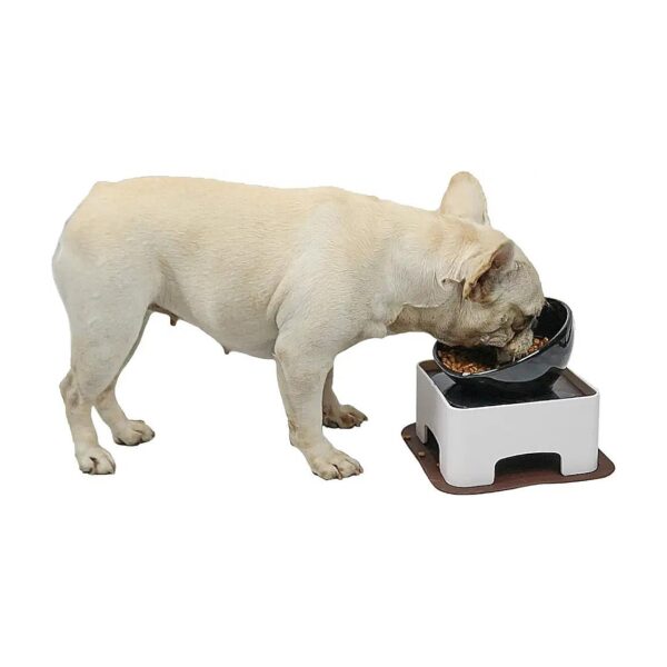 Elevated Ceramic Dog Bowls Set Tilted Raised Non-Slip for Small Medium Dogs and Cats