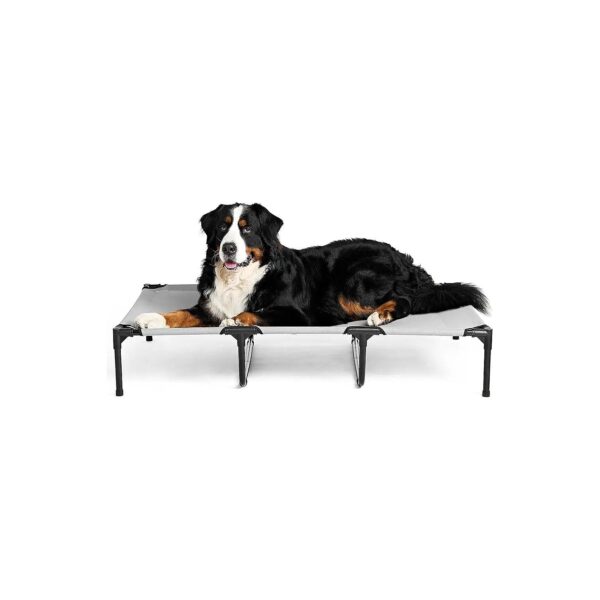 Elevated Dog Bed for Large Dogs - 50 Inch Long XLarge Pet Bed with Cooling Mesh and Frame