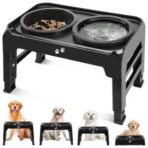 Elevated Dog Feeder with Slow Feeder Bowls and Water Bowl for Medium Large Dogs