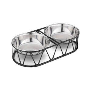 Elevated Stainless Steel Dog Food Bowls with Raised Stand for Small Dogs and Cats