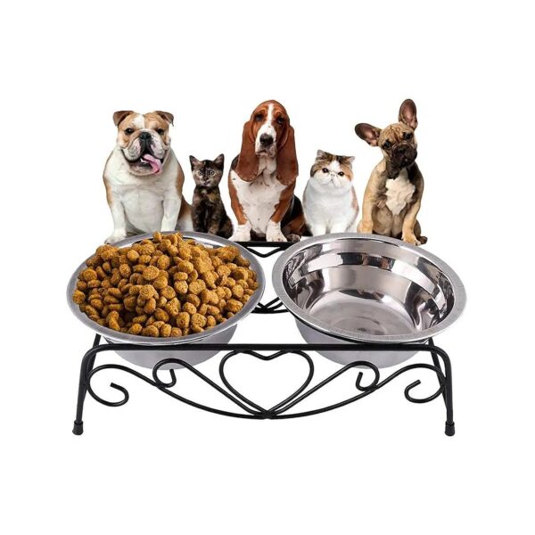 Elevated Stainless Steel Dog and Cat Feeder with Two Removable Bowls