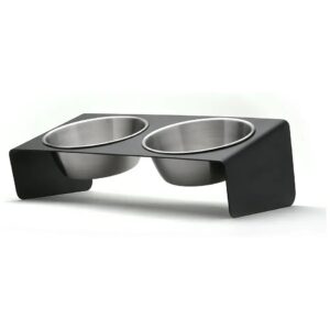 Elevated Stainless Steel Pet Bowl for Indoor and Outdoor Use with Two Bowls