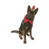 Elf Dog Costume with Red Jester Collar and Hinged Ear Hat for Large Dogs