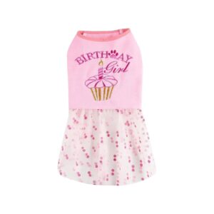 Embroidered Birthday Cake and Lettering Polka Dot Tulle Birthday Dress for Small Pets