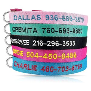 Embroidered Polyester Dog Collars with Leather trim, Adjustable Sizes, and Durable Buckle