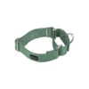 Emerald Nylon Martingale Collar for Small to Large Breed Dogs Adjustable Training Halter