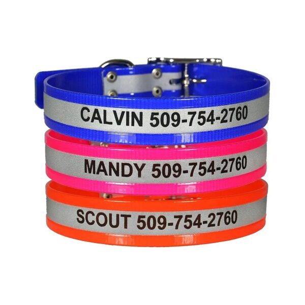 Engraved Waterproof Dog Collar with Name, Phone Number, and Reflective Material