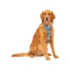 Enhanced Strength Dog Harness - Zero Pull Luxury Pet Safety Harness