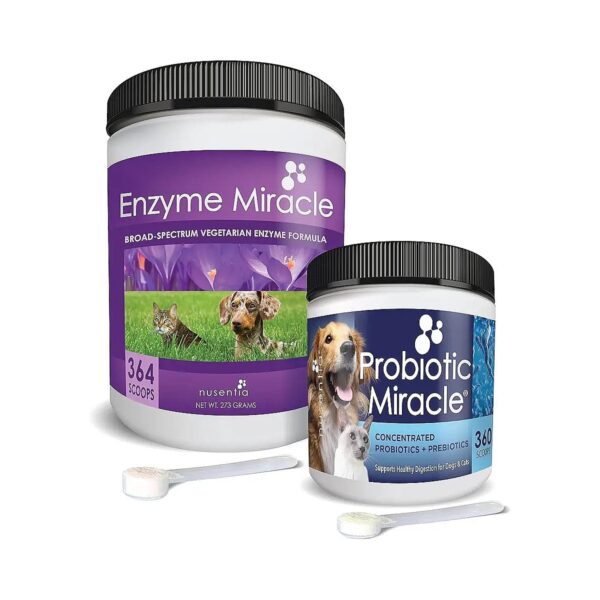 Enriched Miracle Pack for Diarrhea, Gas, and Digestive Upset Relief