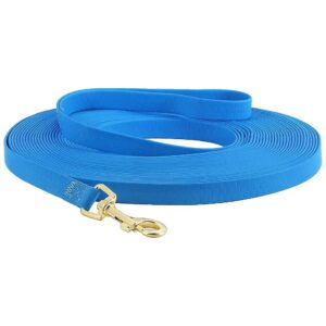 Environmental Friendly Waterproof Dog Leash Perfect for Training and Daily Use