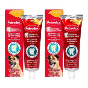 Enzymatic Toothpaste for Dogs - Poultry Flavor - Reduces Plaque and Tartar Buildup