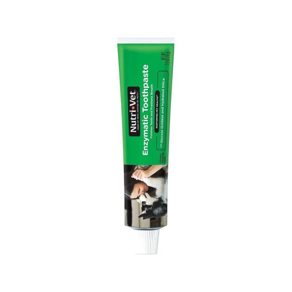 Enzymatic Toothpaste for Dogs with Non-Foaming Chicken Flavor, USA Made