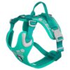 Ergonomic Medium Dog Harness with Cool Mesh Lining and Comfy Fit for Active Pups